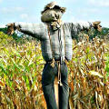 Scarecrow Image