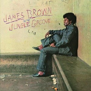James Brown - In The Jungle Groove CD